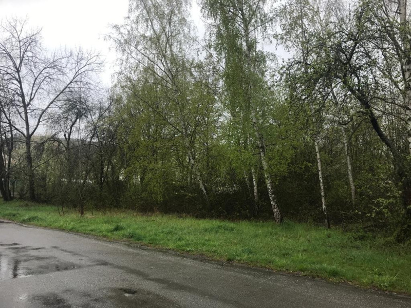 Prodej Pozemek Štěchovice