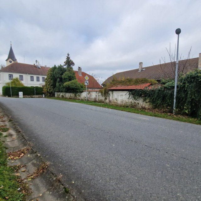 136921_1742756329.jpg
